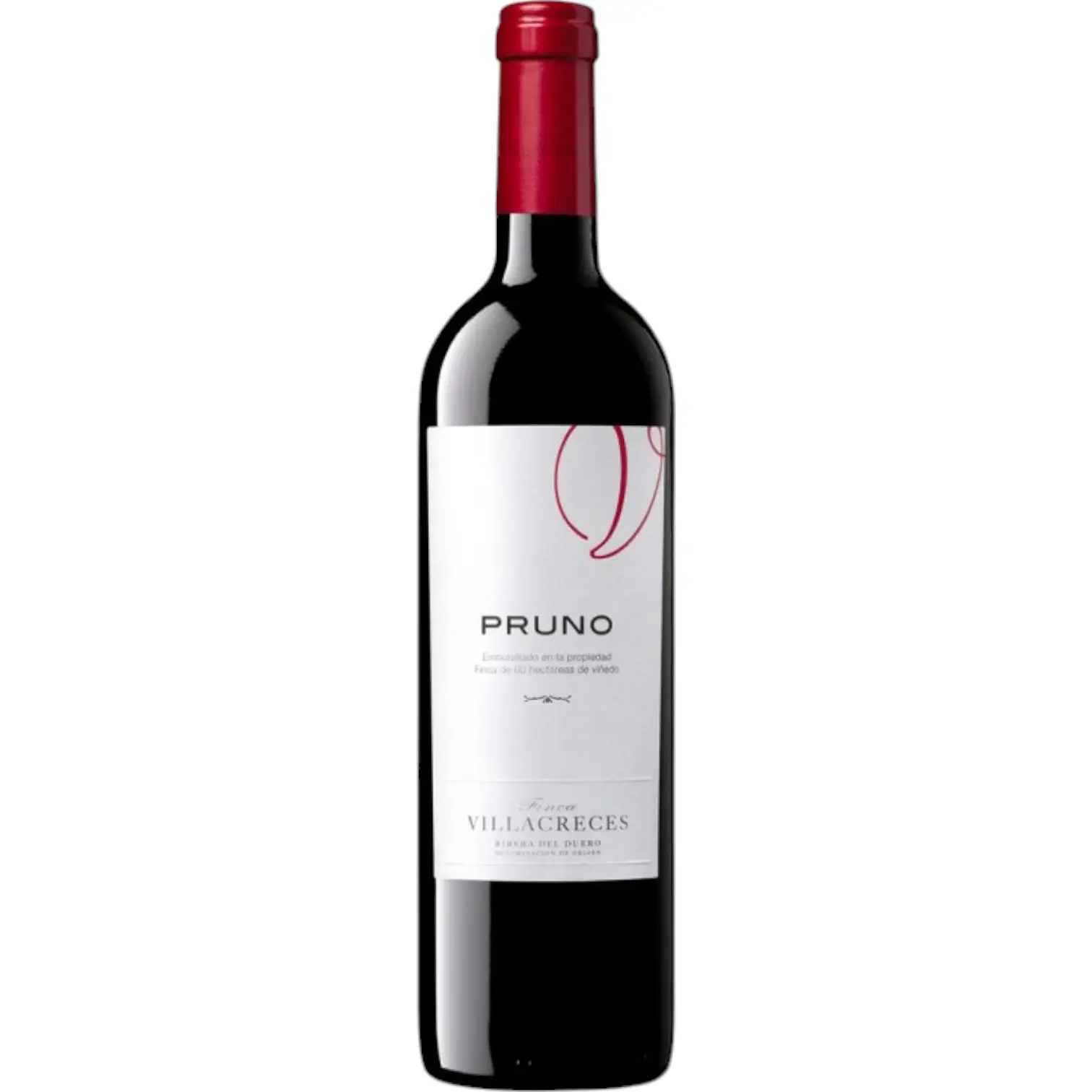 Vino Pruno de Villacreces